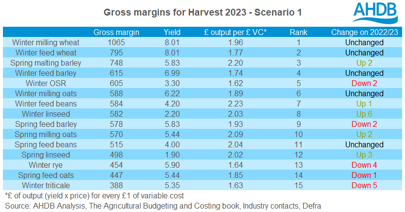 Table showing gross margins for harvest 2023 - Scenario 1